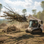 tree debris removal