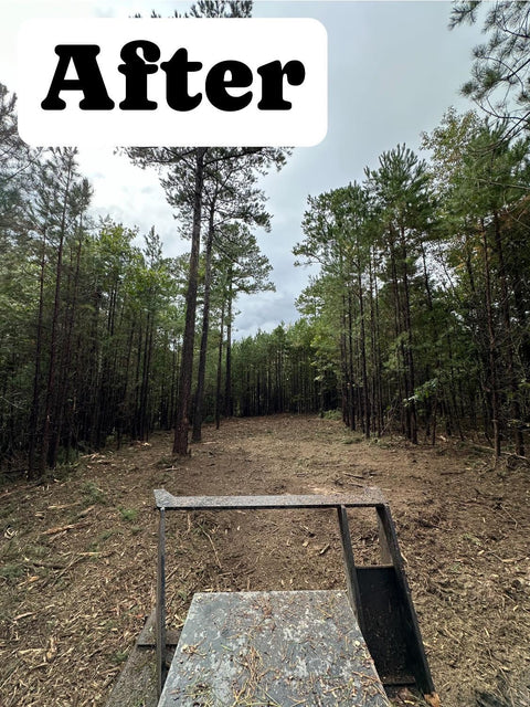 Stinger Disc Mulcher 48"–60" Skid Steer Forestry Attachment | CrewTough