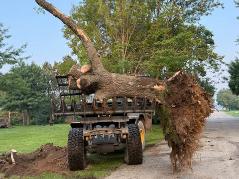 Stinger Wheel Loader Clam Grapple Severe Duty (CG-SXD)
