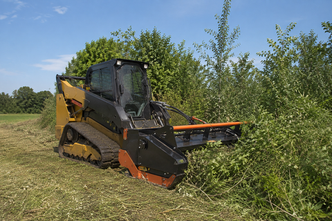 Cut Brush & Overgrowth