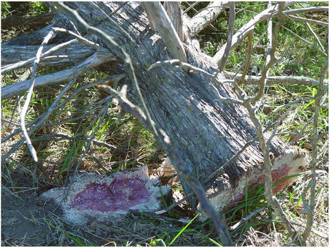 Young’s Welding MightyAxe Tree Shear – Heavy-Duty Skid Steer & Tractor Tree Cutter