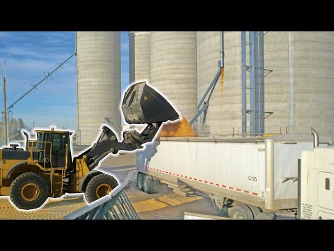 MAXX Rollout Bucket product video